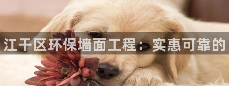 彩名堂5.0版计划怎么用不了：江干区环保墙面工程：实惠可靠的