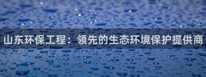 彩名堂预测：山东环保工程：领先的生态环境保护提供商